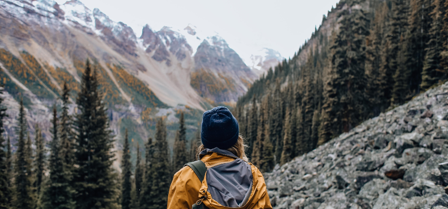 Du betrachtest gerade SEO für Solopreneure, Startups & kleine Unternehmen